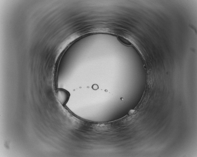 X0000101221139200807071341