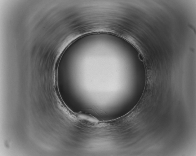 X0000101221140200807071341