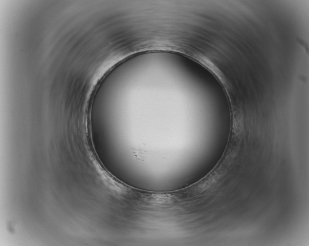 X0000101221144200807071341