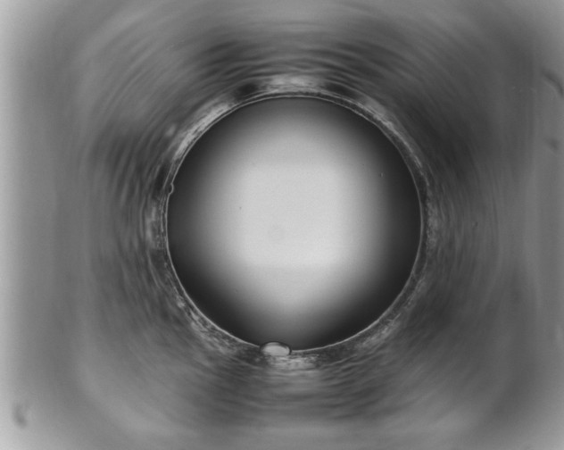 X0000101221145200807071341