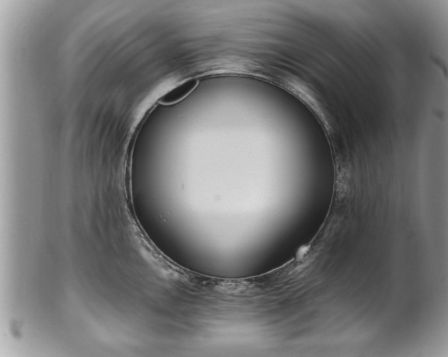 X0000101221146200807071341