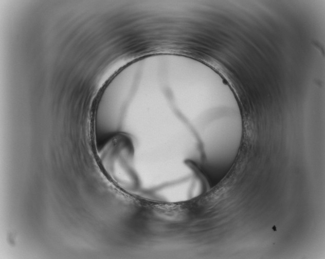 X0000101221147200807071341