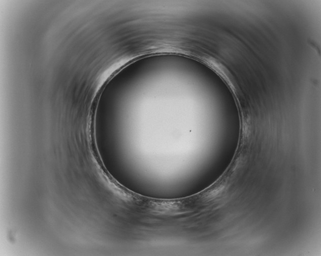 X0000101221149200807071341