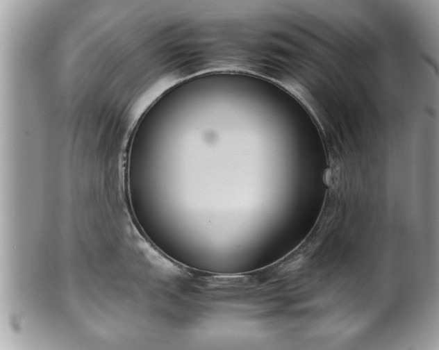 X0000101221151200807071341