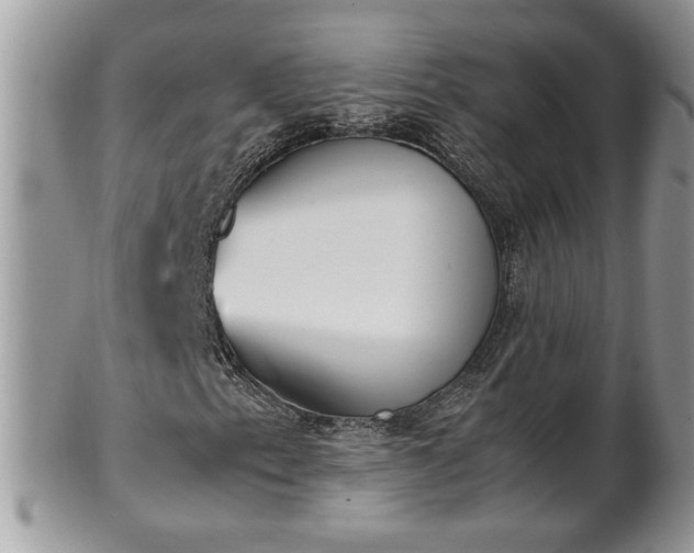 X0000101221153200807071340