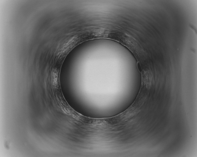X0000101221154200807071340