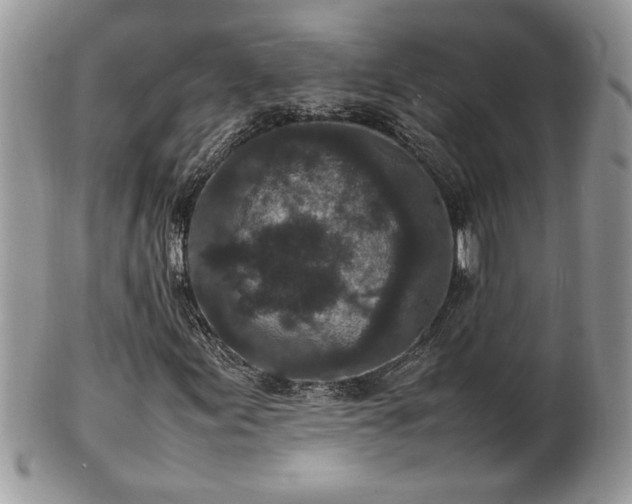 X0000101221155200807071340