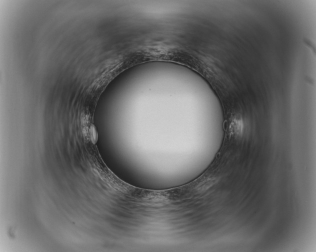 X0000101221156200807071340