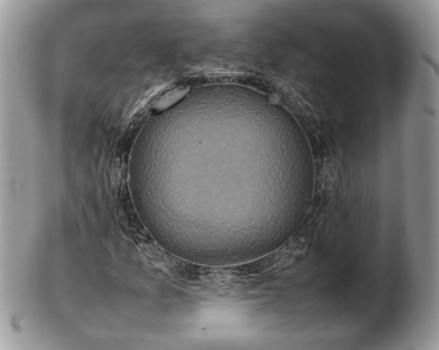 X0000101221157200807071340