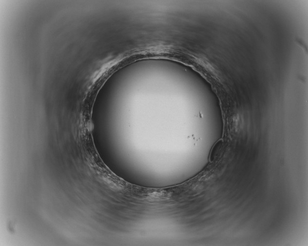 X0000101221160200807071340