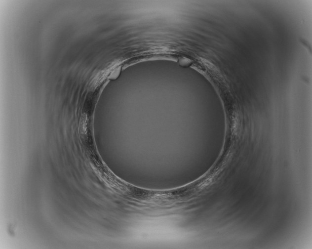 X0000101221161200807071340