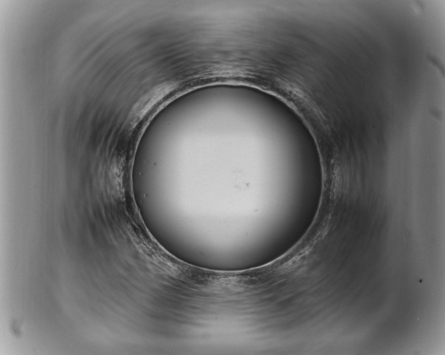 X0000101221162200807071340