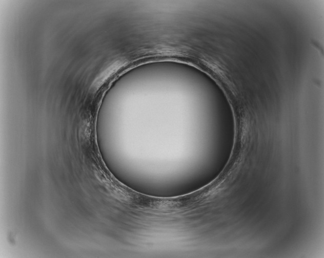 X0000101221163200807071340