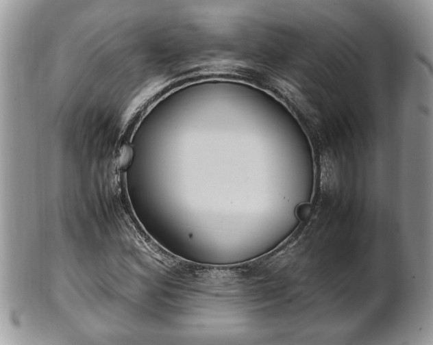 X0000101221164200807071340