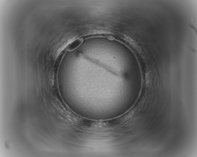 X0000101221165200807071340