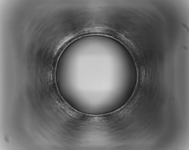 X0000101221166200807071340