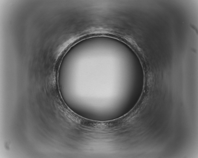 X0000101221167200807071340