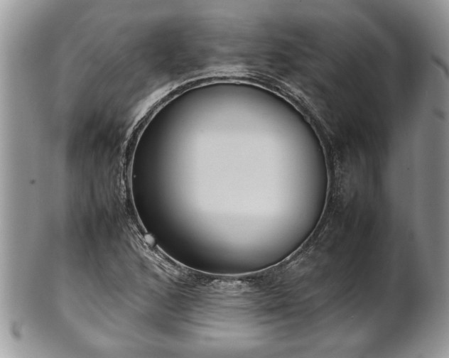 X0000101221168200807071340