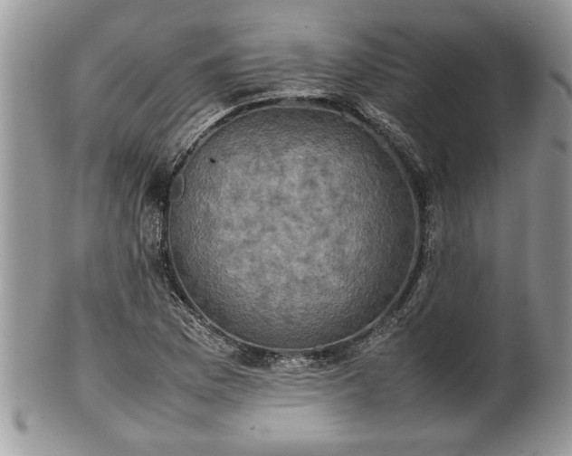 X0000101221169200807071340