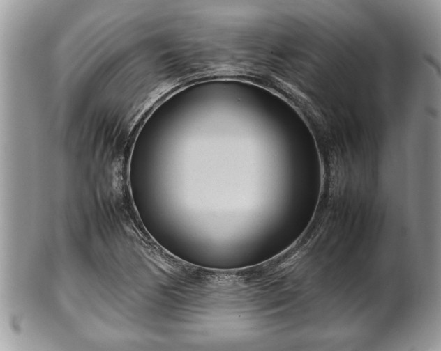 X0000101221170200807071340