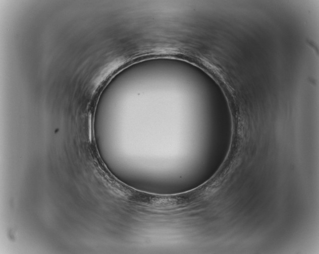 X0000101221171200807071340