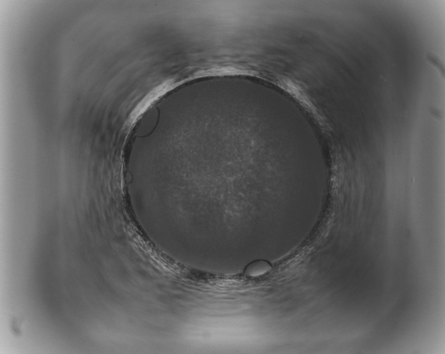 X0000101221173200807071340