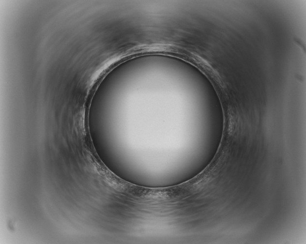 X0000101221174200807071340