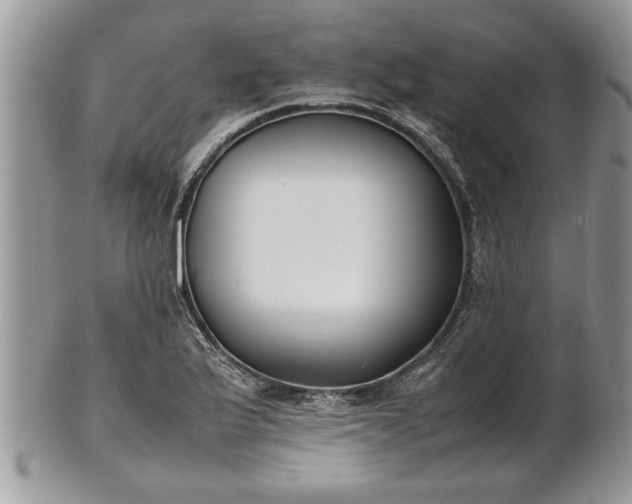 X0000101221175200807071340