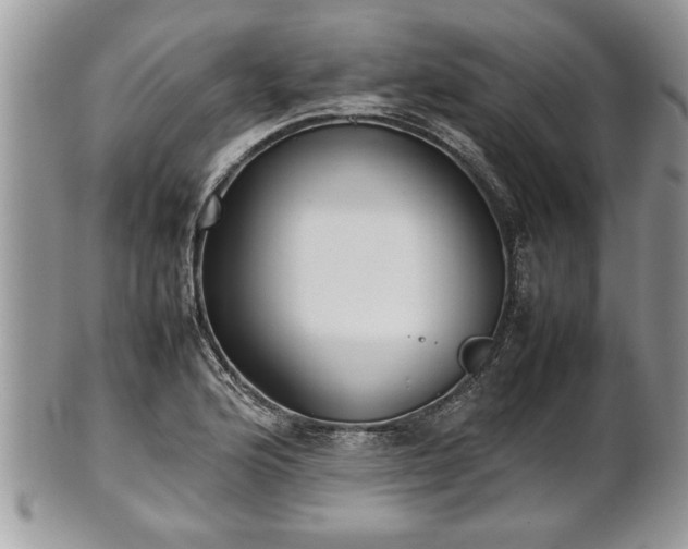 X0000101221176200807071340