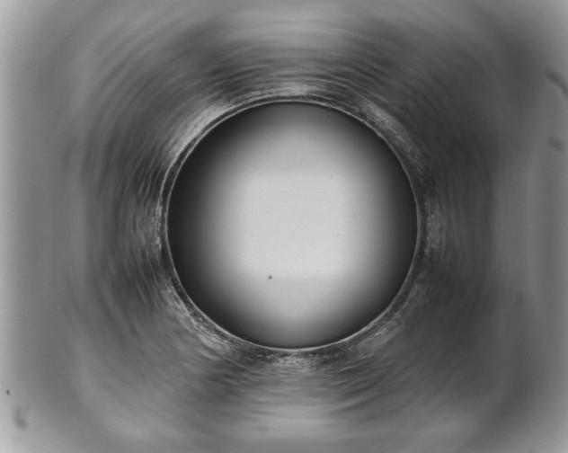 X0000101221178200807071340