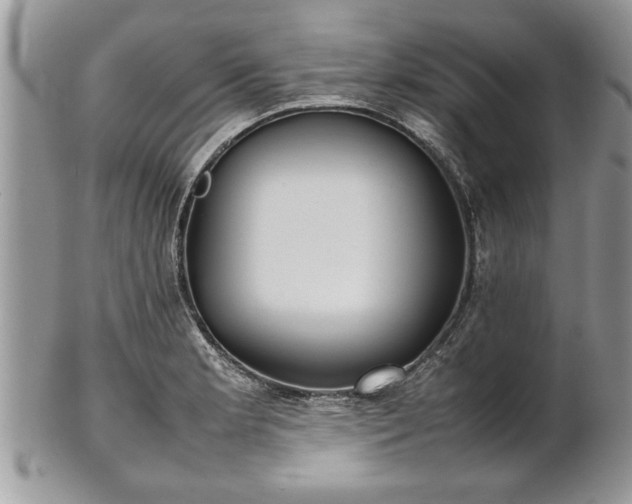 X0000101221181200807071340
