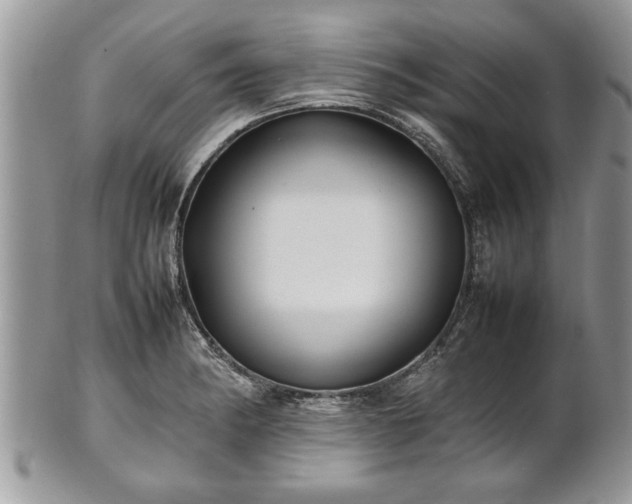X0000101221182200807071340