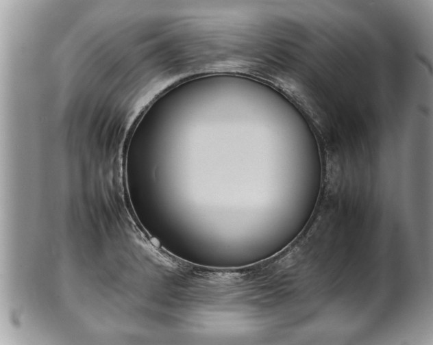 X0000101221184200807071340