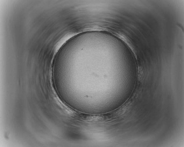 X0000101221187200807071340