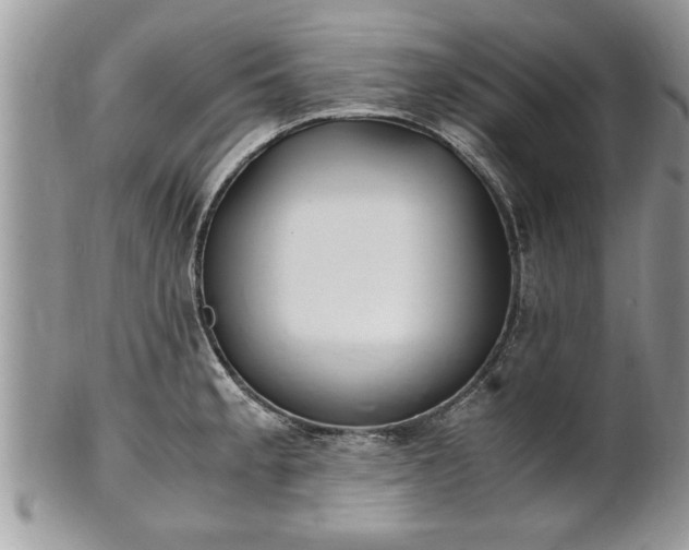 X0000101221189200807071340