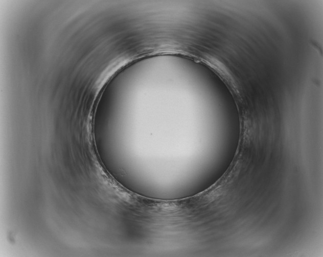 X0000101221190200807071340