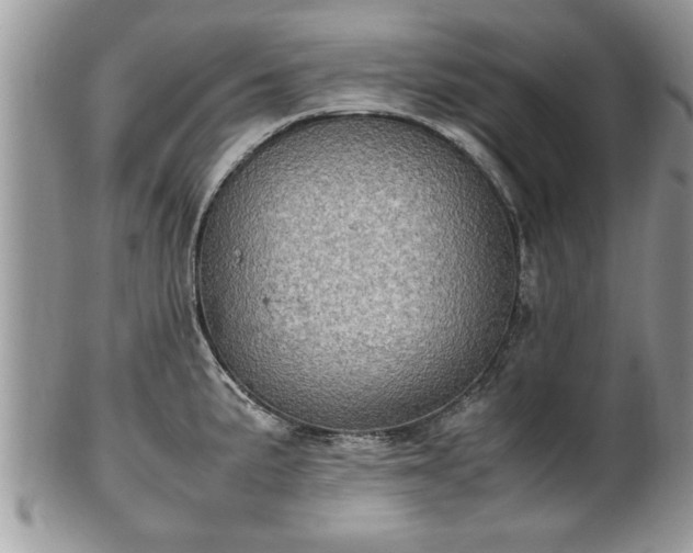 X0000101221191200807071340