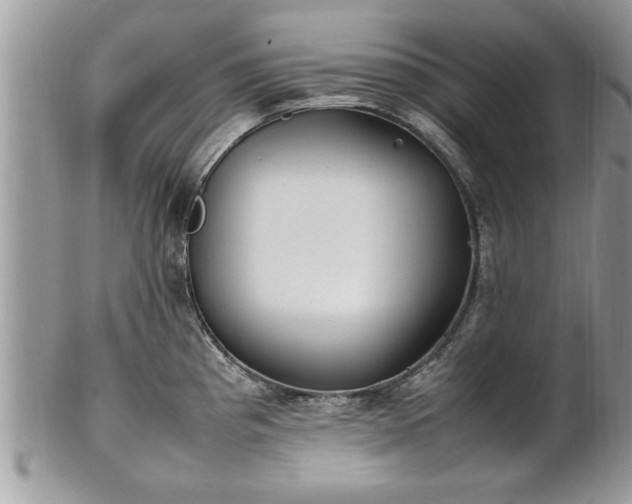 X0000101221193200807071340