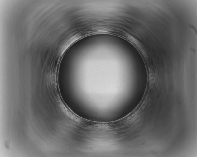 X0000101221194200807071340