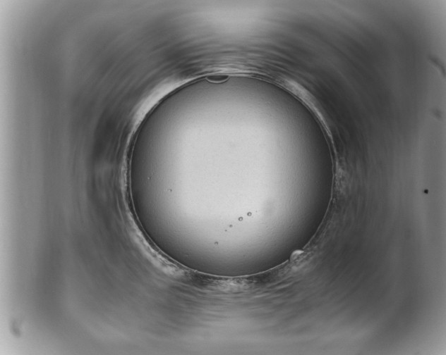 X0000101221195200807071340