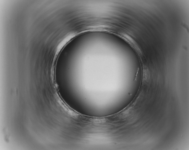 X0000101221196200807071340