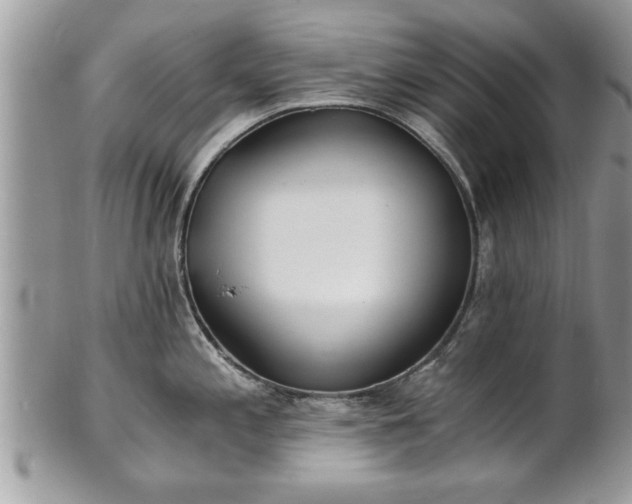 X0000101221197200807071340