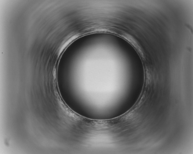 X0000101221198200807071340