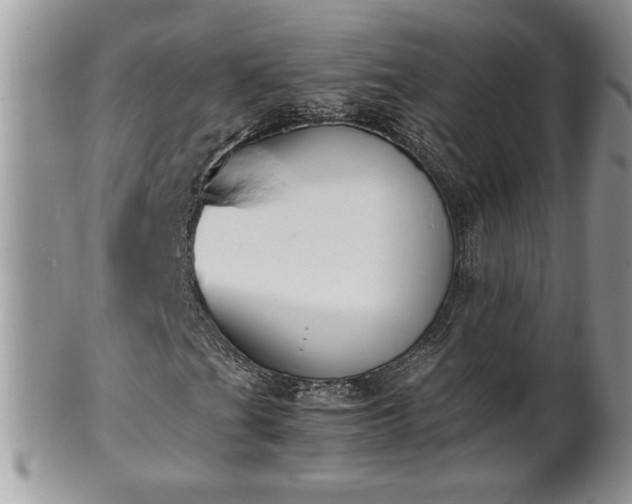 X0000101221201200807071339