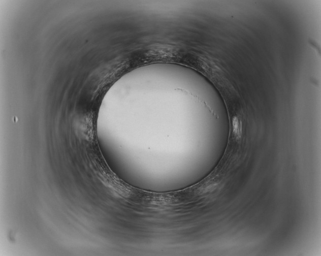 X0000101221203200807071339