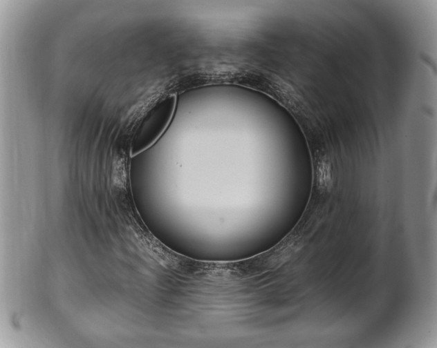 X0000101221204200807071339