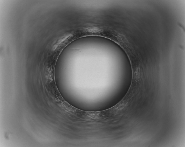 X0000101221205200807071339