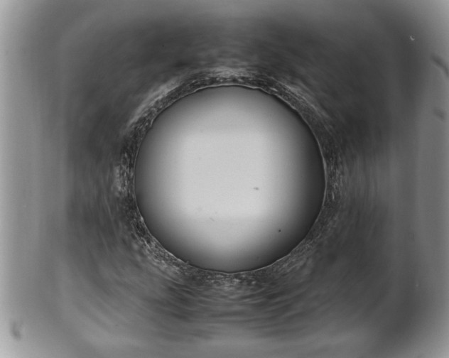 X0000101221207200807071339