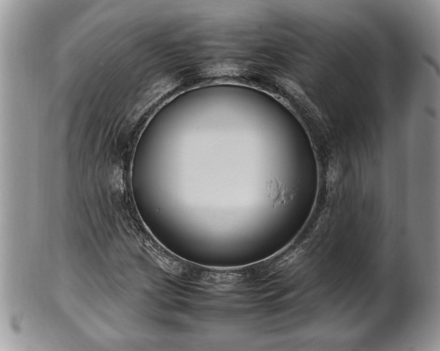 X0000101221209200807071339