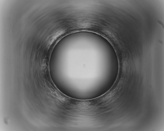 X0000101221210200807071339
